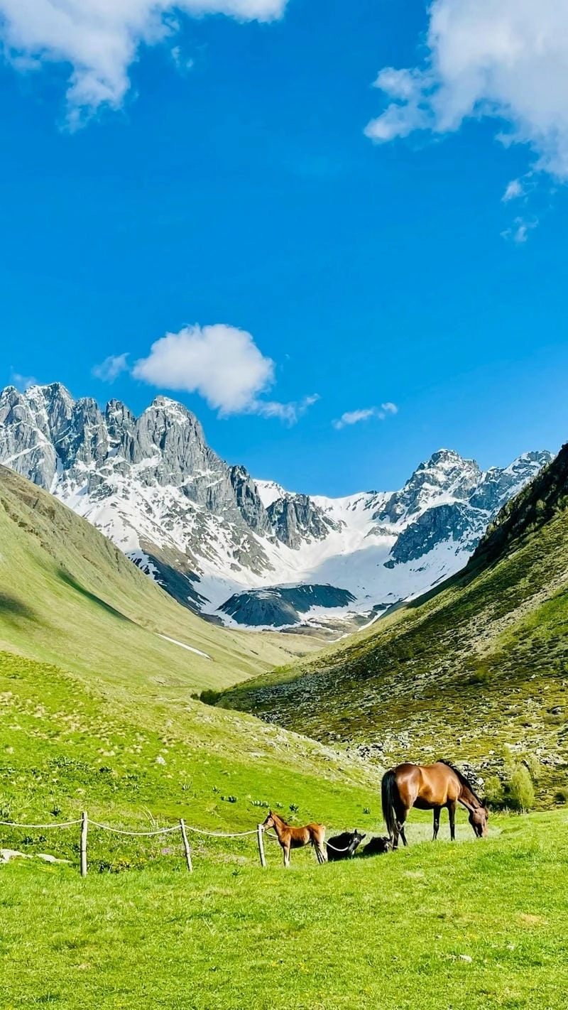 Một hình nền điện thoại phong cảnh đẹp đến nao lòng