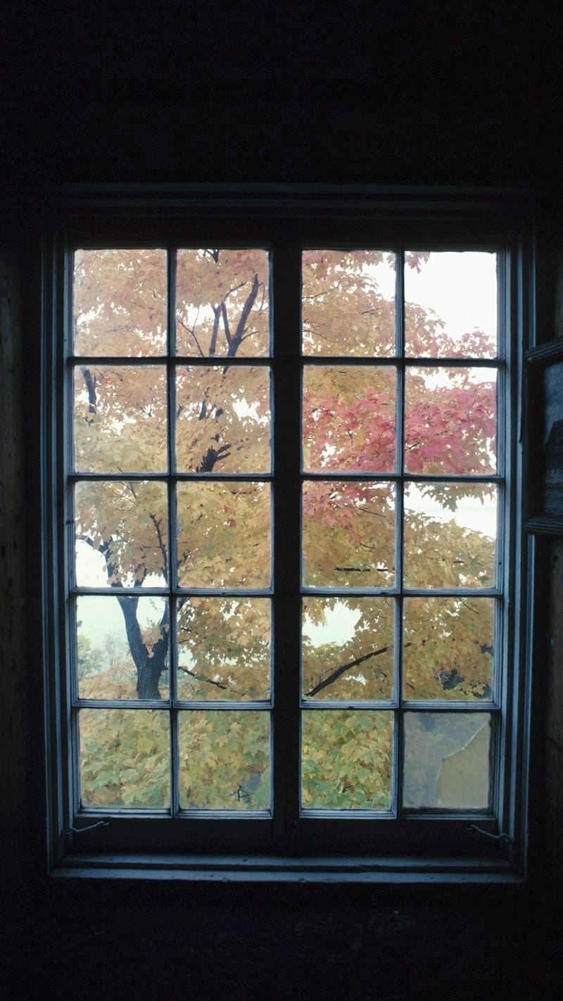 Chất lượng cao với hình nền điện thoại phong cảnh đẹp full hd