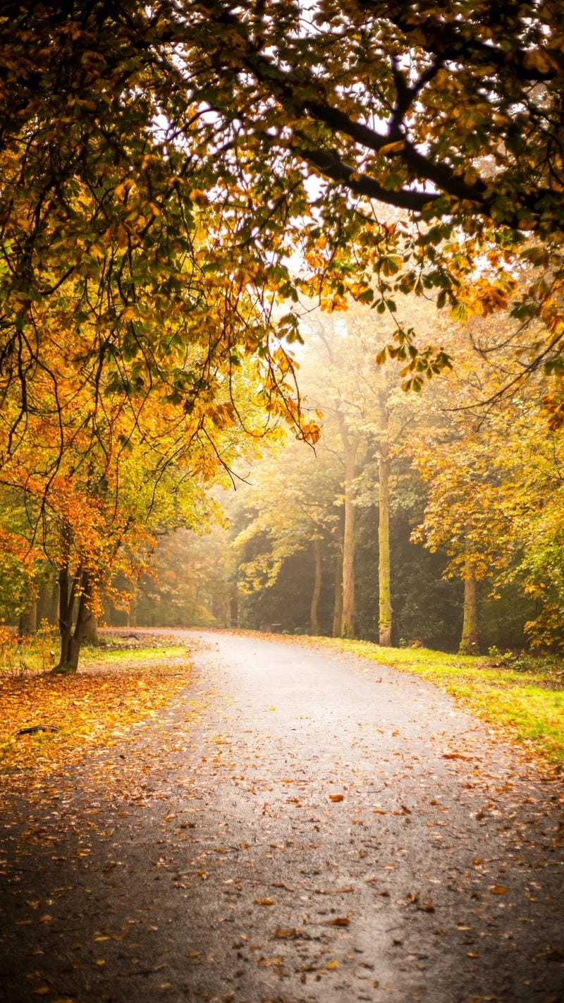 Bình yên với hình nền điện thoại cảnh biển