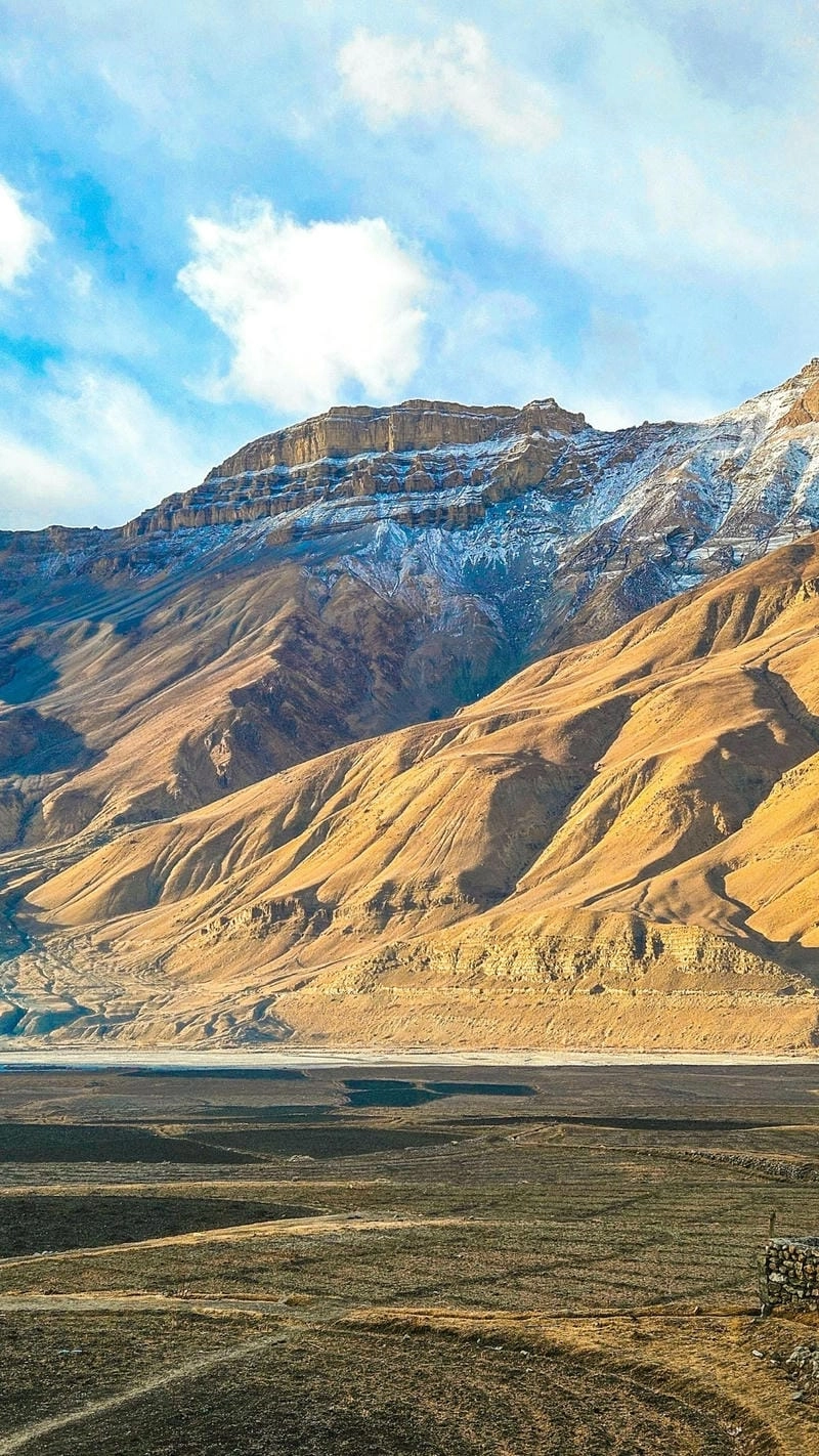 Một hình nền điện thoại thiên nhiên đẹp và trong lành