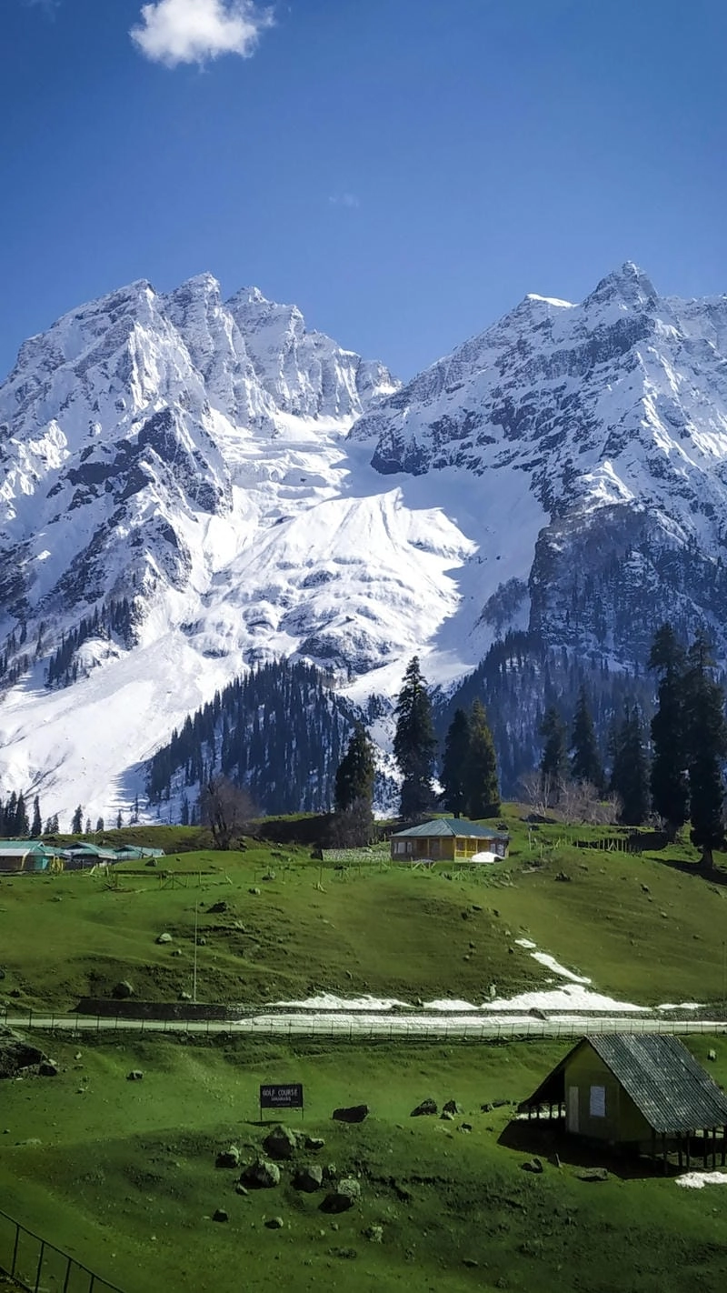 Một hình nền điện thoại thiên nhiên đẹp và tràn đầy sức sống