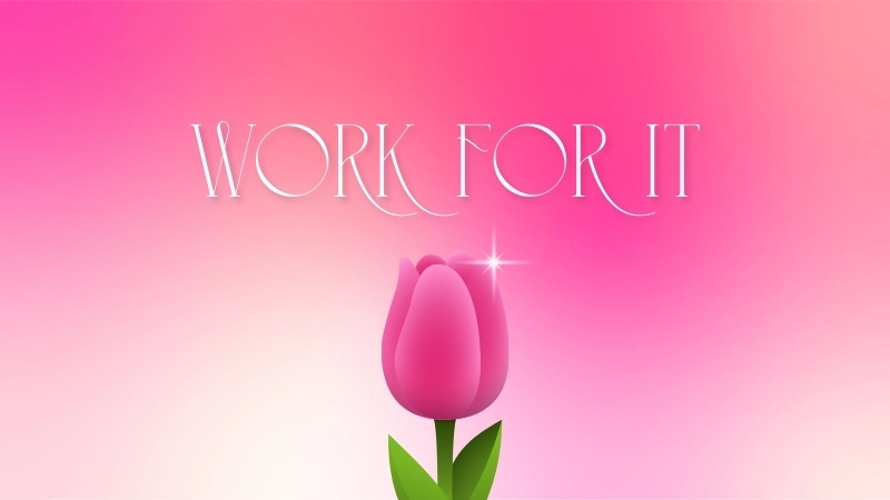 Hình nền máy tính hoa tulip 4K