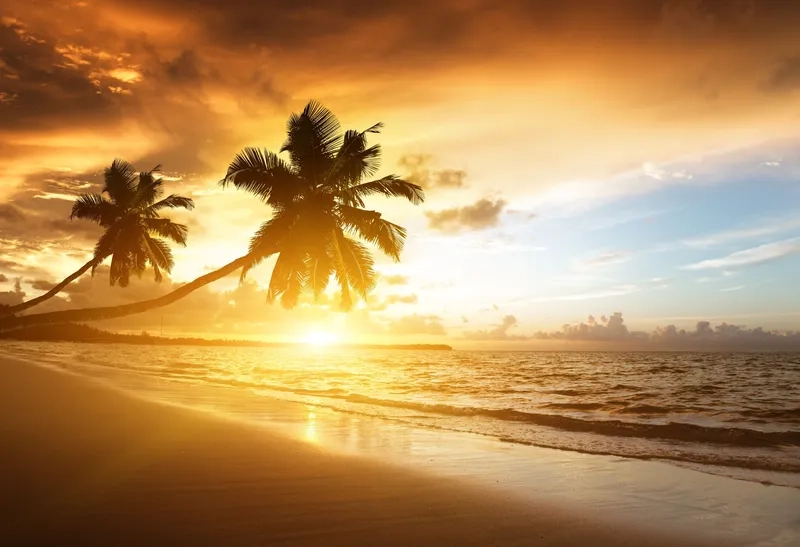 Chất lượng sắc nét của hình nền hoàng hôn 4k