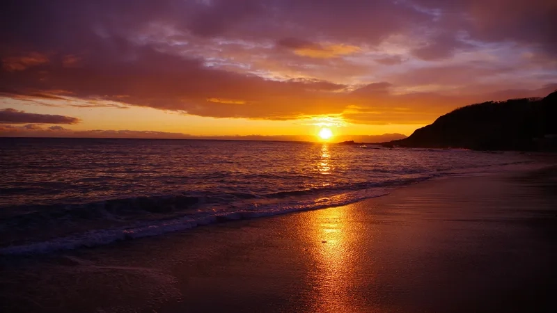 Vẻ đẹp dịu dàng của hình nền cảnh hoàng hôn