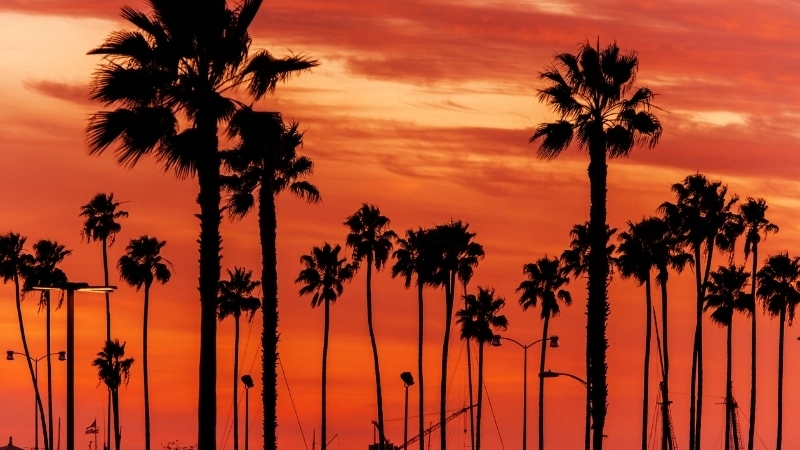 Khoảnh khắc lãng mạn với hình nền máy tính cảnh hoàng hôn