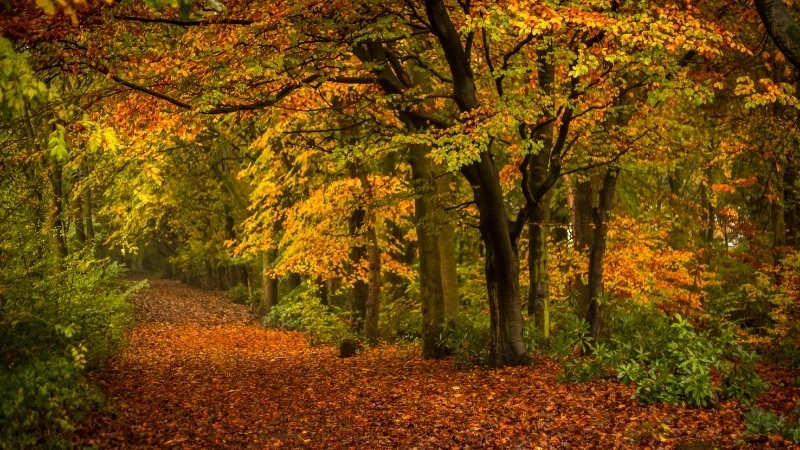 Trải nghiệm siêu thực cùng hình nền máy tính phong cảnh 4K