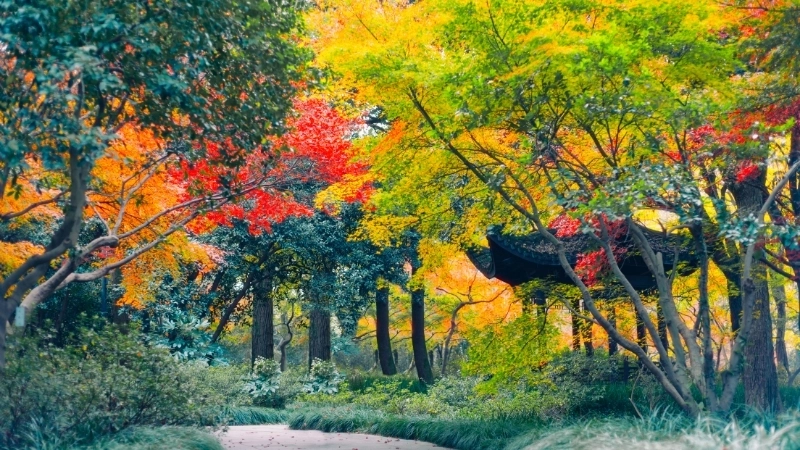 Bộ sưu tập hình nền máy tính thiên nhiên miễn phí