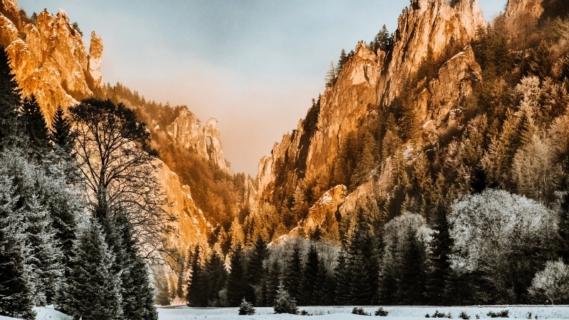 Thế giới anime qua hình nền máy tính phong cảnh anime