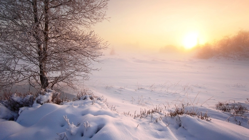 Nét cổ điển của hình nền máy tính phong cảnh cổ trang