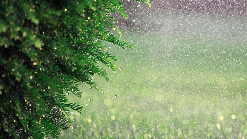 Vẻ đẹp lãng mạn của hình nền trời mưa