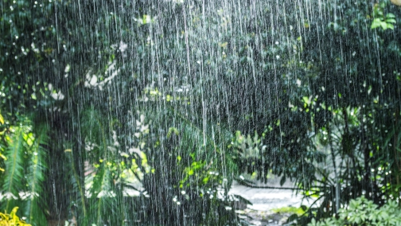 Bắt trọn cảm xúc với hình nền hạt mưa