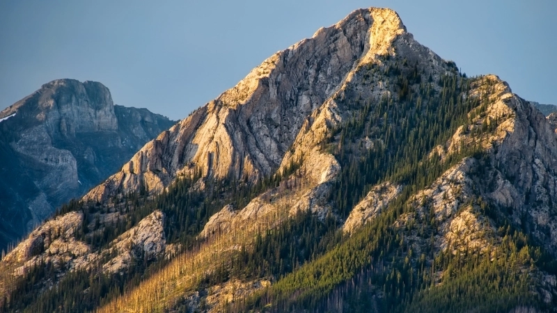 Hình nền núi rừng xanh ngát