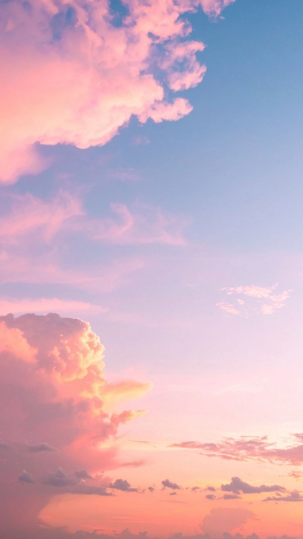 Sự lựa chọn hoàn hảo với hình nền pastel trơn