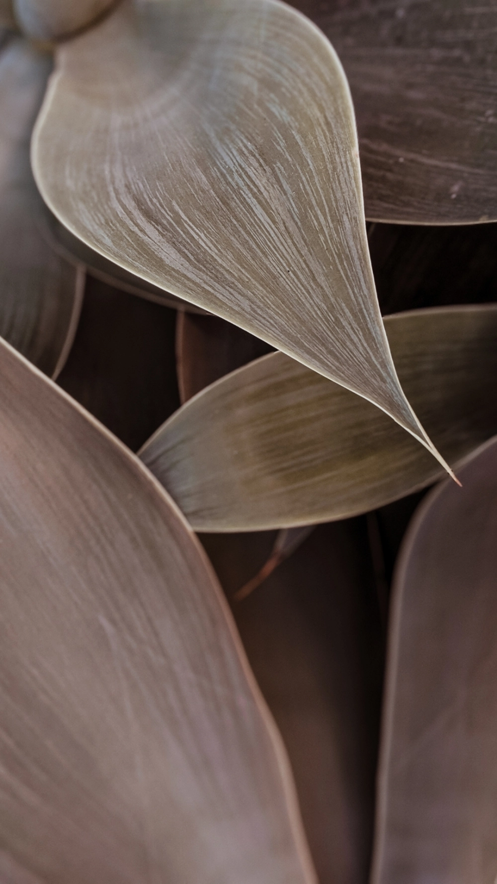 Hình nền tối giản cho iPhone của bạn