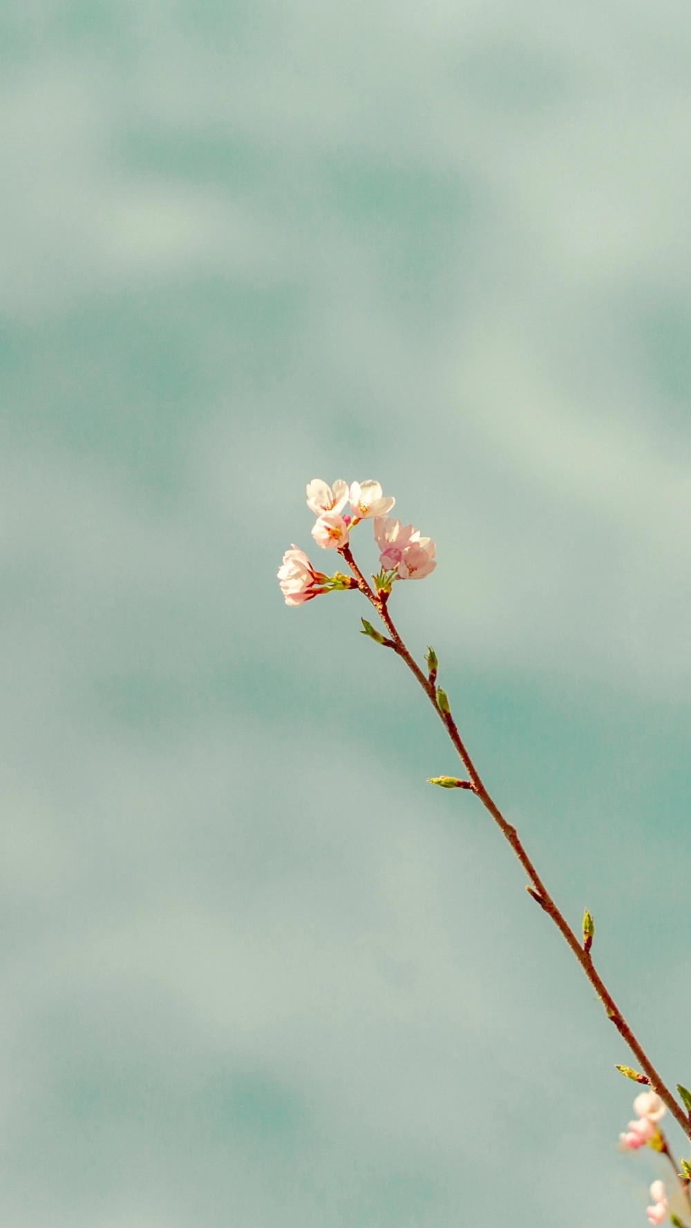 Ảnh nền tối giản cho không gian gọn gàng