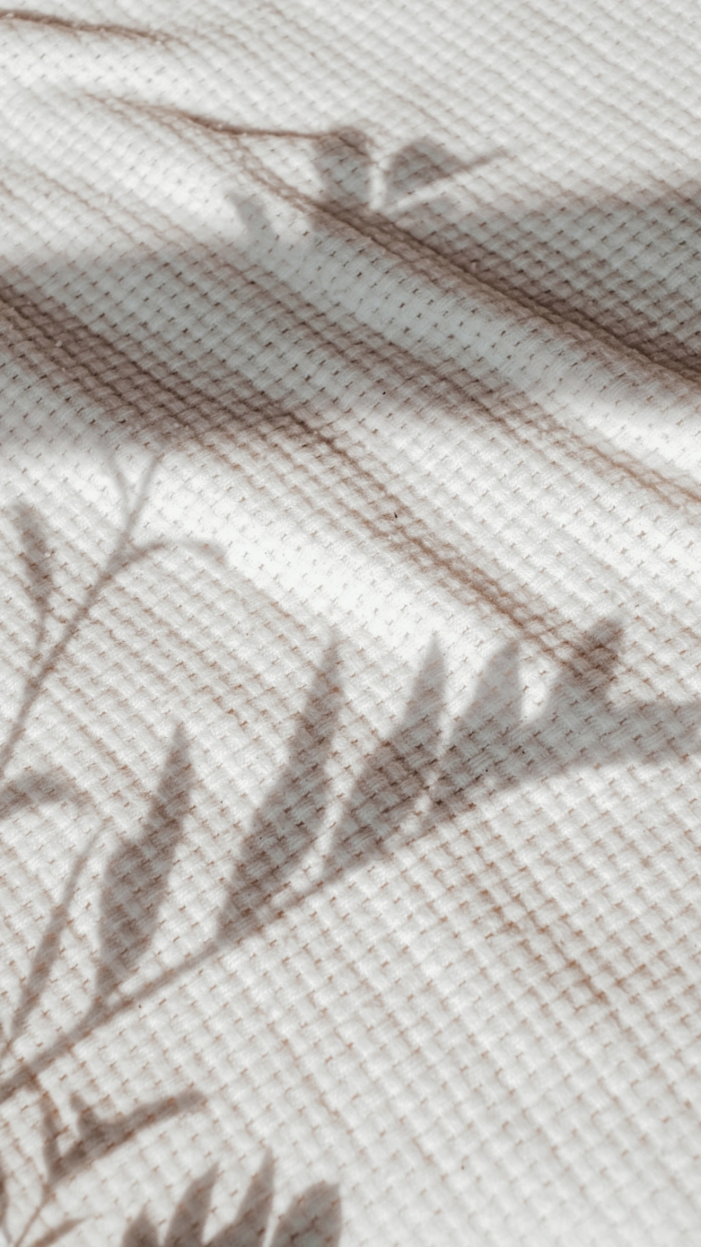 Một chiếc nền tối giản sang trọng