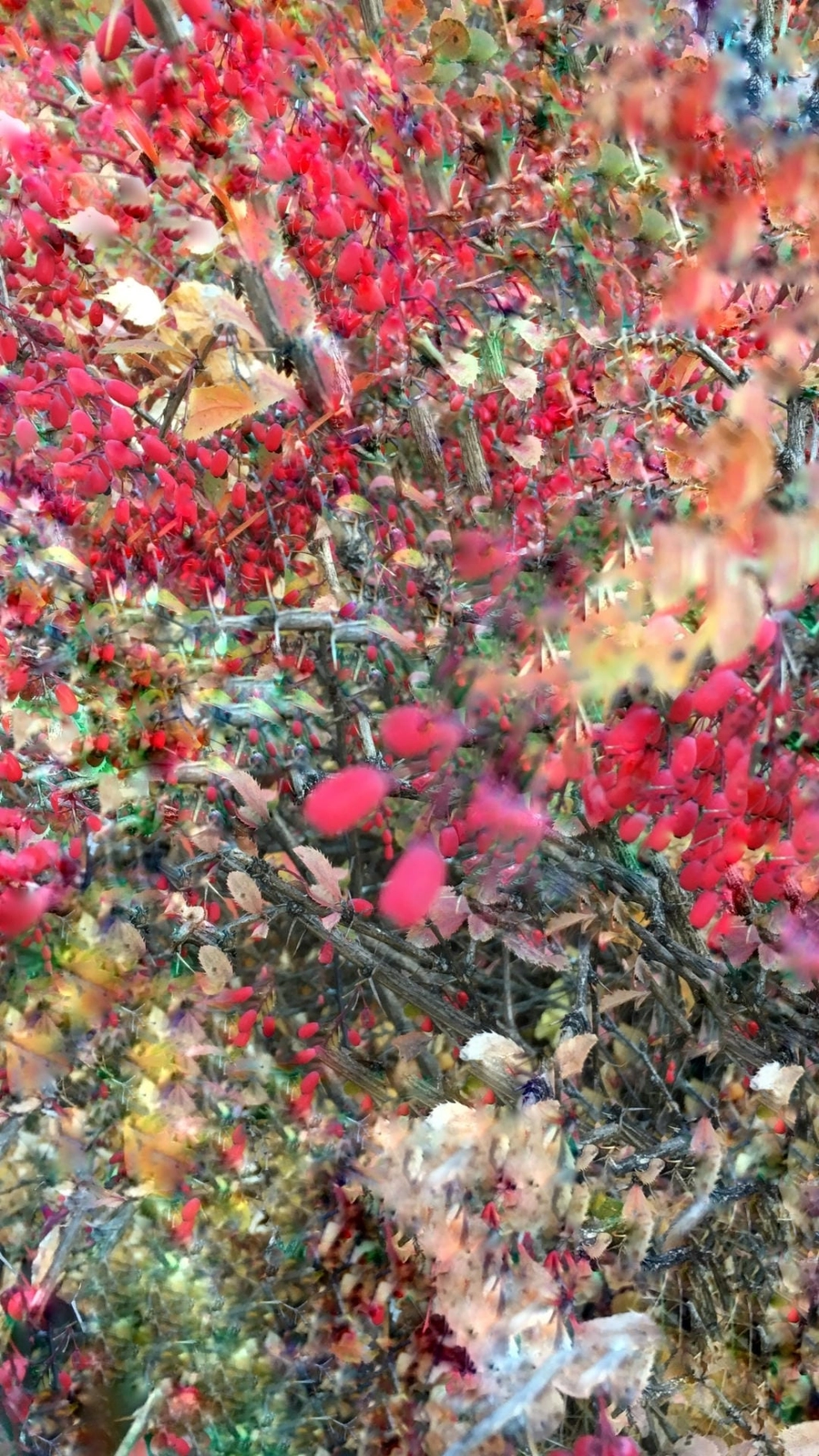 Khám phá bộ sưu tập hình nền trừu tượng 2025