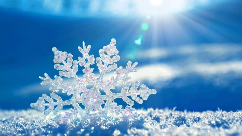 Tải ngay ảnh nền tuyết chất lượng cao