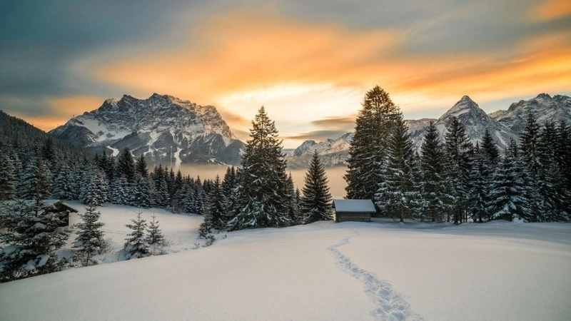 Sắc trắng tinh khôi trong hình nền tuyết trắng