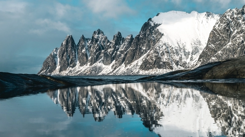 Vẻ đẹp tinh khôi của hình nền tuyết trắng