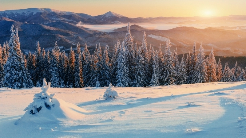 Không khí ấm áp trong hình nền mùa đông tuyết rơi