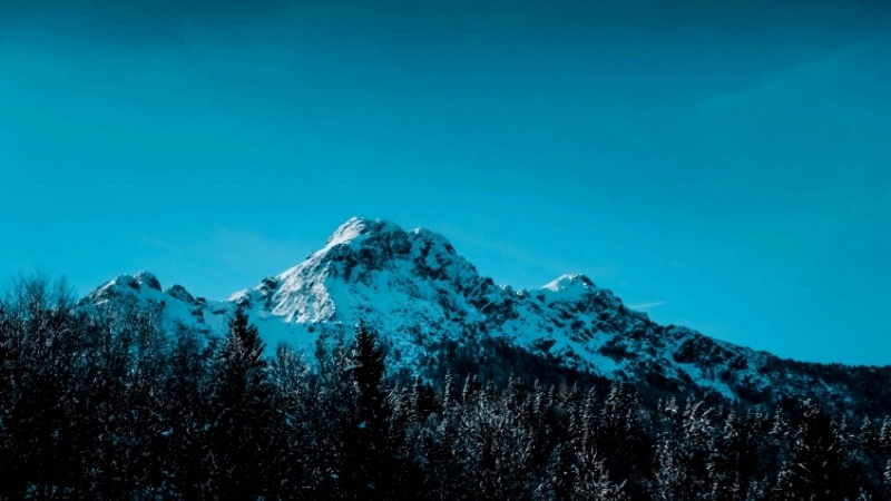 Một trong những hình nền tuyết đẹp nhất