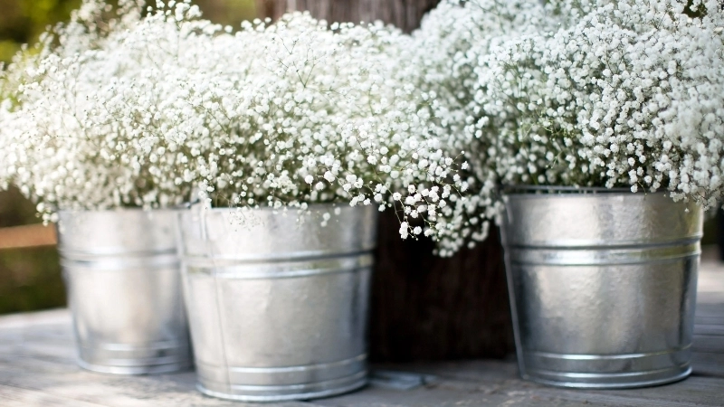 Mẫu hoa cưới cầm tay Baby cho cô dâu