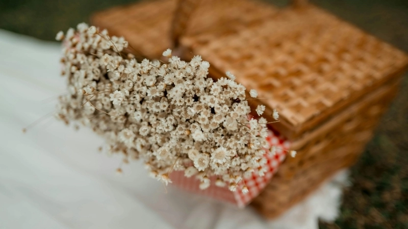 Cận cảnh một bó hoa baby đẹp tinh khôi