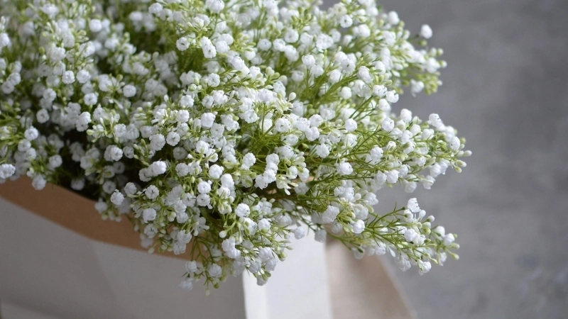 Vẻ đẹp hùng vĩ của tranh phong cảnh quê hương đất nước