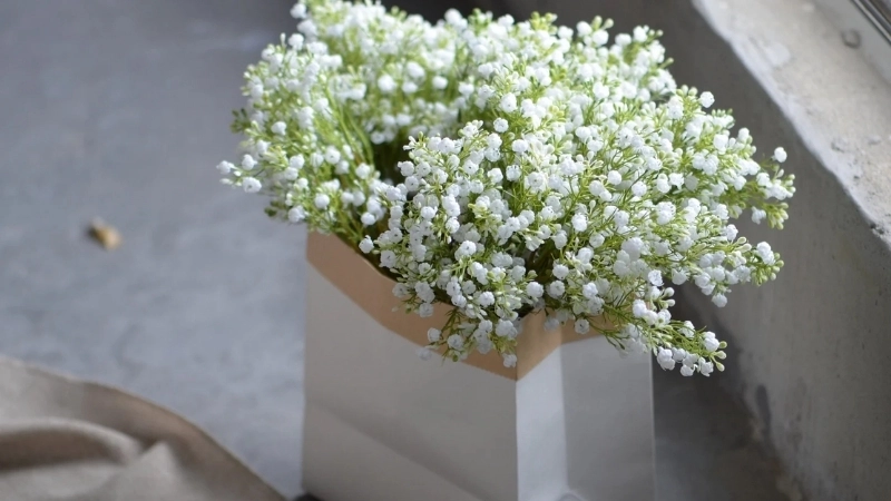 Mẫu bó hoa Baby đẹp cho ngày hẹn hò