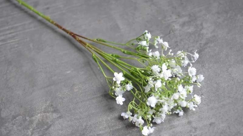 Cập nhật giá bó hoa Baby mới nhất