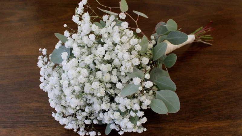 Vẻ đẹp bền lâu của Hoa Baby khô