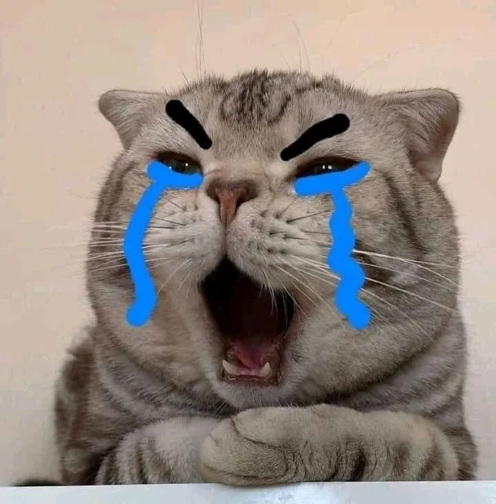 Meme emoji buồn khóc cho những ngày tâm trạng
