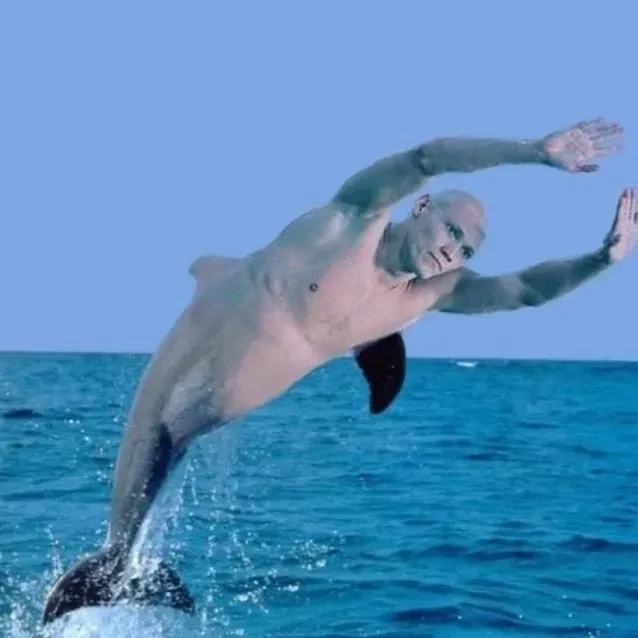 Bộ sưu tập meme cá heo độc đáo