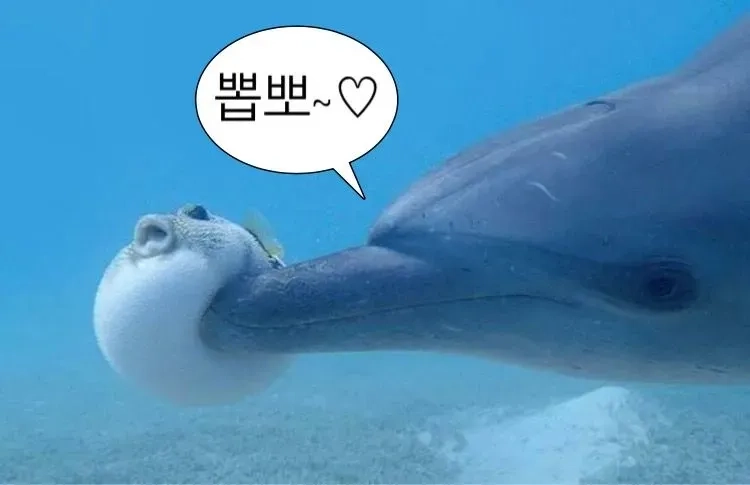 Quote meme tạm biệt và cảm ơn vì tất cả cá