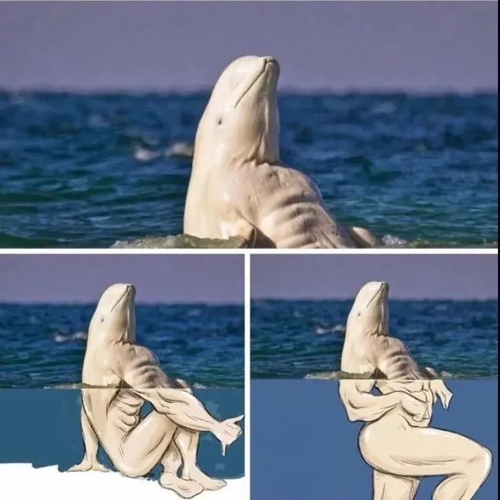 Meme cá heo bị nguyền gây ám ảnh