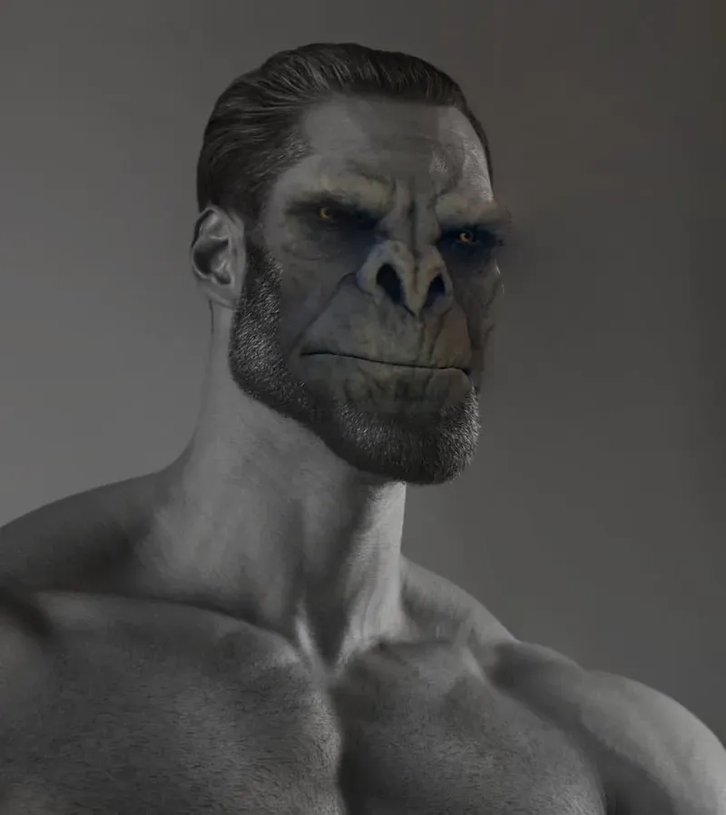 Meme kinh điển average fan vs average enjoyer meme