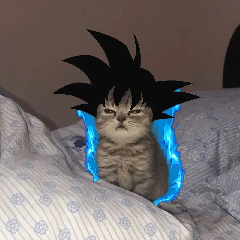 Goku và Vegeta meme đối đầu