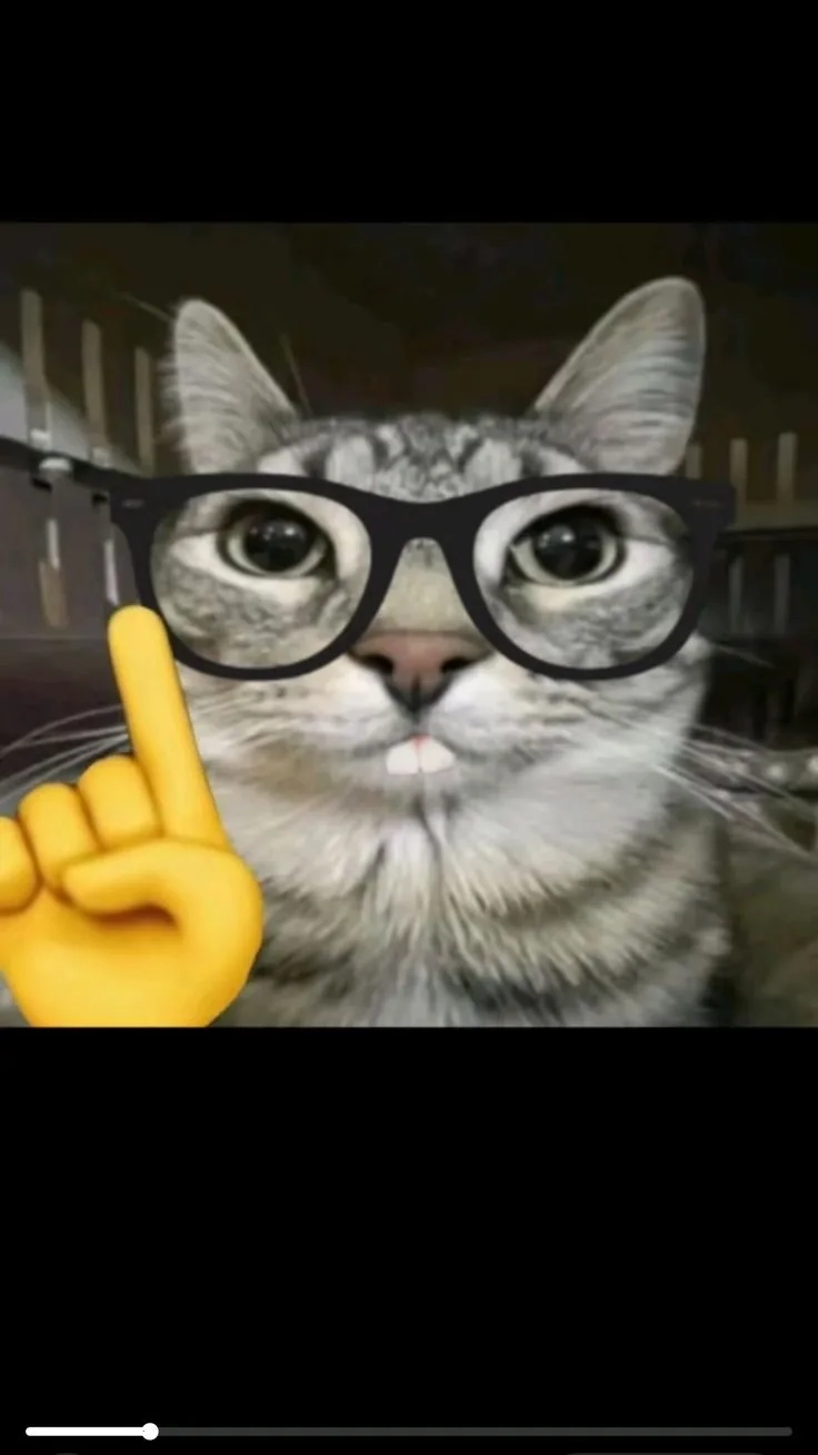 Khoảnh khắc meme iq 200 huyền thoại