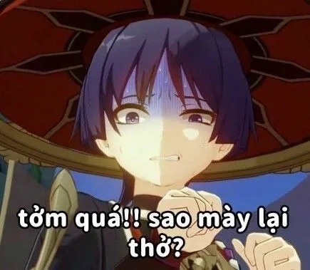 Tải ngay ảnh meme kinh tởm