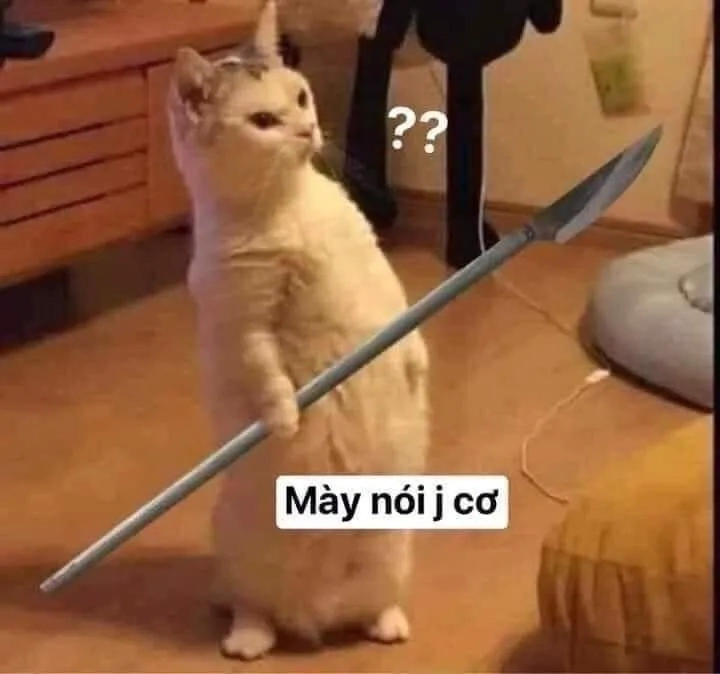 Khi meme mèo cầm dao trở thành huyền thoại