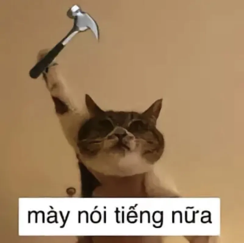Trọn bộ meme mèo cầm vũ khí