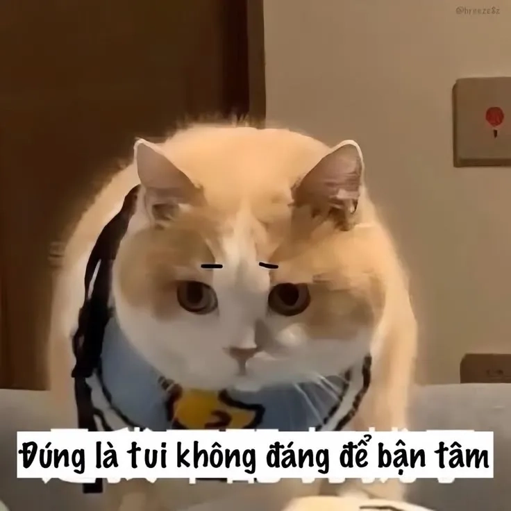 Biểu cảm meme ngại ngùng chân thật