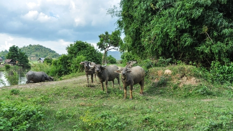 Một số cảnh đẹp ở Đắk Lắk bạn nên biết