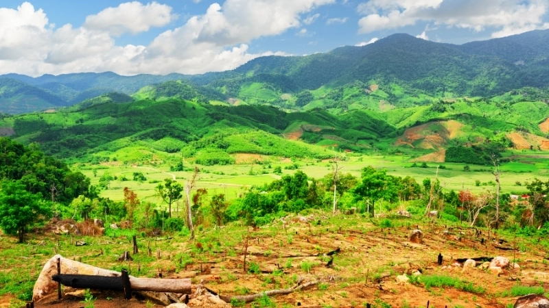 Danh lam thắng cảnh Đắk Lắk nổi tiếng