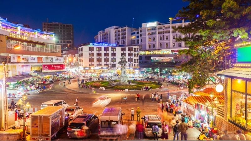 Phong cảnh đồi chè Cầu Đất xanh mướt