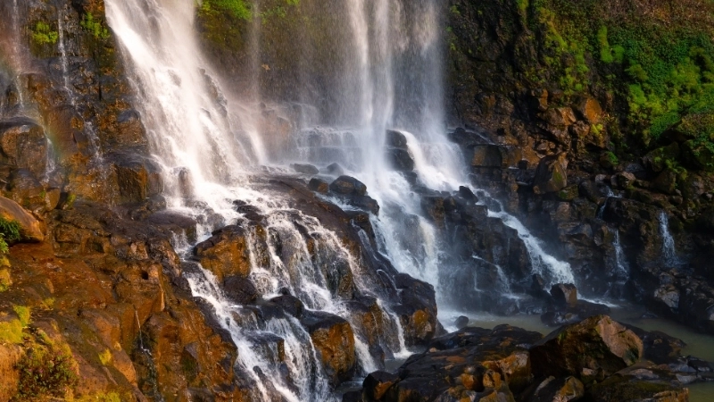 Bức tranh phong cảnh Lâm Đồng