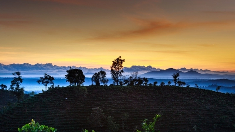 Bình minh trên đỉnh Langbiang hùng vĩ
