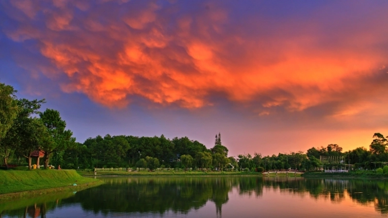 Tổng hợp những cảnh đẹp ở Lâm Đồng