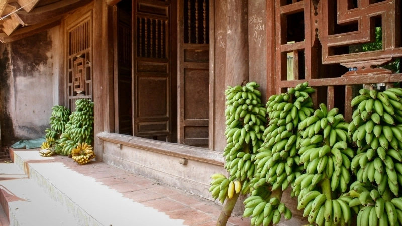 Một sớm mai tại làng cổ Đường Lâm